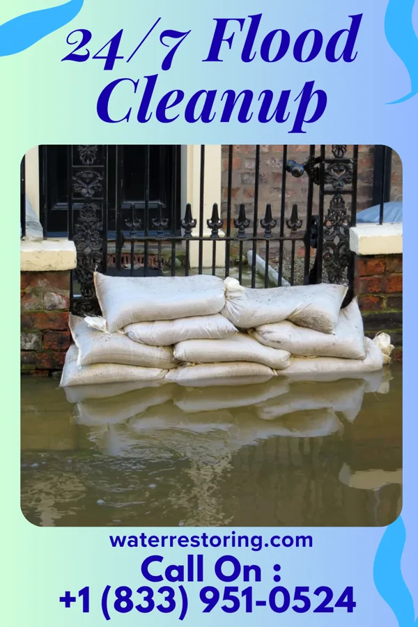 24/7 Flood Cleanup in Mantorville, MN