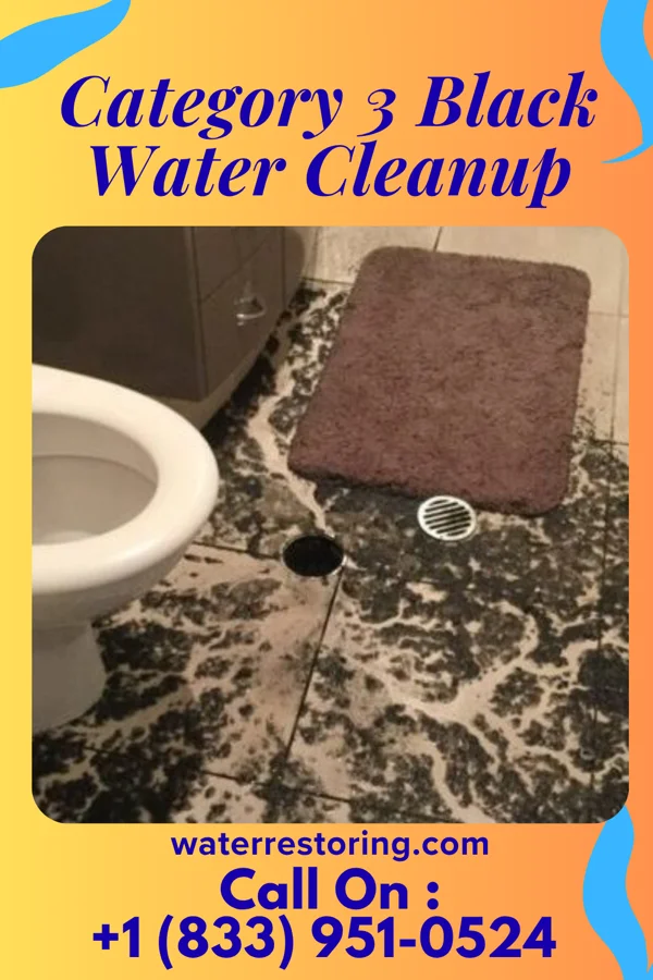 Category 3 Black Water Cleanup in Mantorville, MN