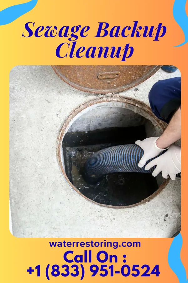 Sewage Backup Cleanup in Mantorville, MN